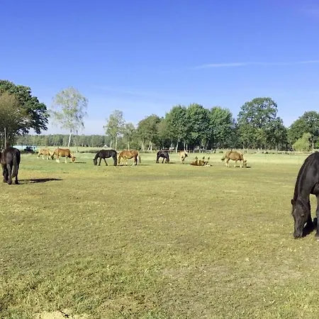 דירה Kutschenmeyer